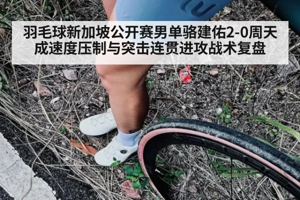 羽毛球新加坡公开赛男单骆建佑2-0周天成速度压制与突击连贯进攻战术复盘